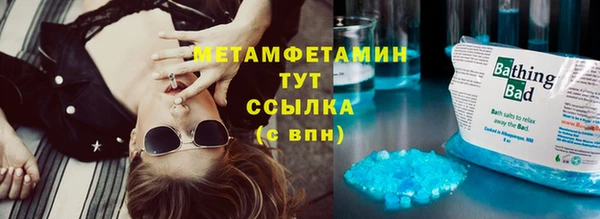 стаф Вязьма