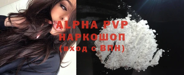 молекула духа Тайга