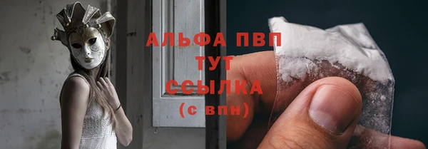 стаф Вязьма