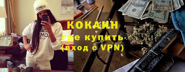 стаф Вязьма