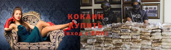 стаф Вязьма