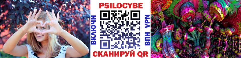 Псилоцибиновые грибы прущие грибы  Павловск 