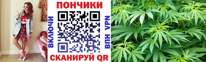 Бошки марихуана сатива  МЕГА рабочий сайт  Павловск 